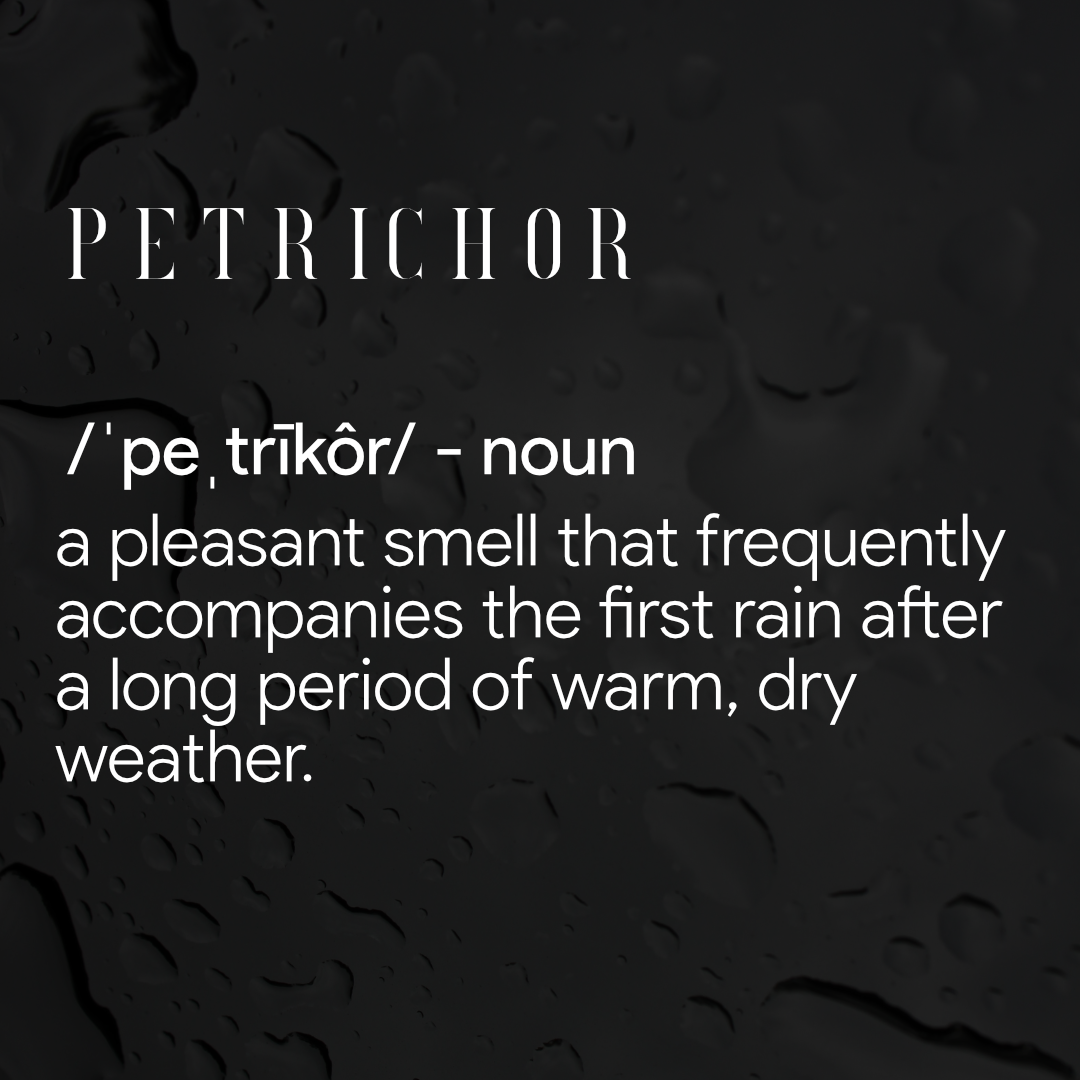 Petrichor (The Smell After Rain) Soy Wax Candle – The Hundredth Acre